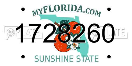 1728260 Florida License Plate