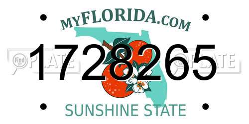 1728265 Florida License Plate