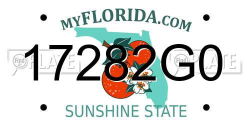 17282G0 Florida License Plate