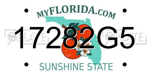 17282G5 Florida License Plate