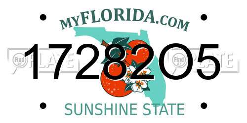 17282O5 Florida License Plate