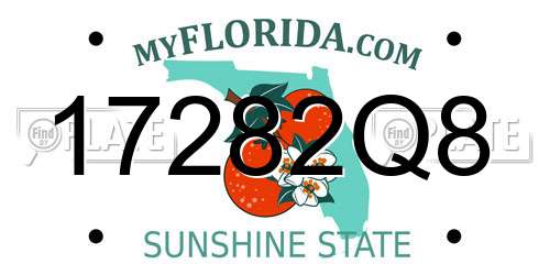 17282Q8 Florida License Plate