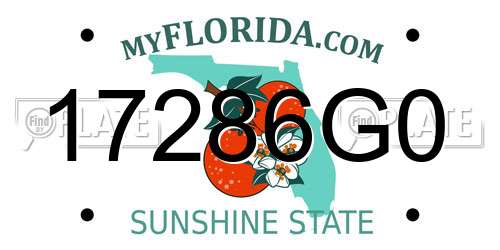 17286G0 Florida License Plate