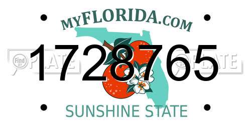 1728765 Florida License Plate