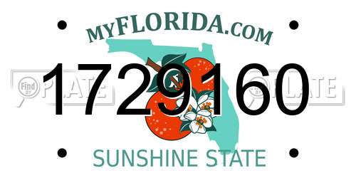 1729160 Florida License Plate