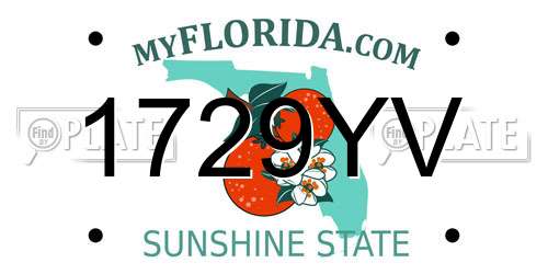 1729YV Florida License Plate