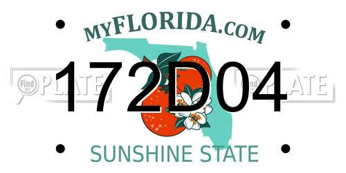 172D04 Florida License Plate