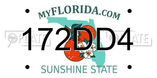 172DD4 Florida License Plate
