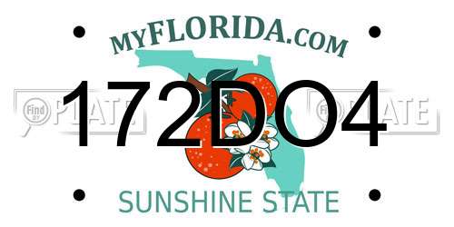172DO4 Florida License Plate