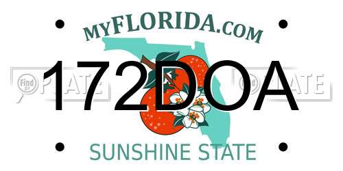 172DOA Florida License Plate