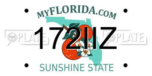 172IIZ Florida License Plate