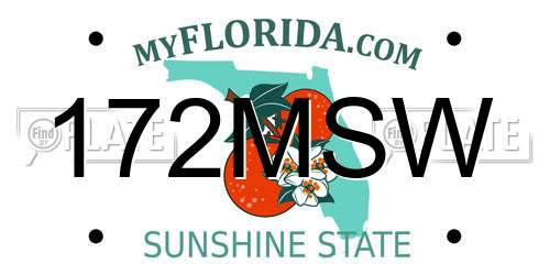 172MSW Florida License Plate