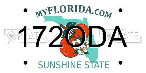 172ODA Florida License Plate
