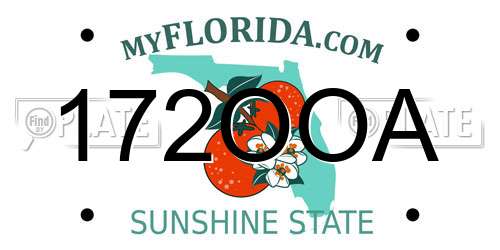 172OOA Florida License Plate
