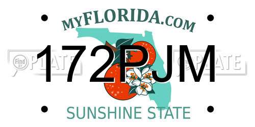 172PJM Florida License Plate