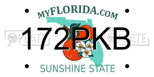 172PKB Florida License Plate