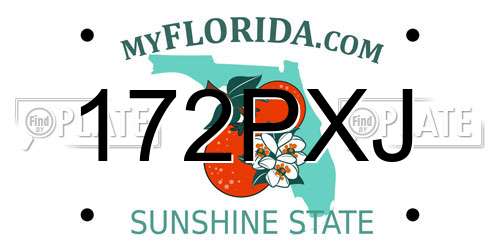 172PXJ Florida License Plate