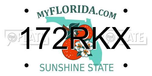 172RKX Florida License Plate