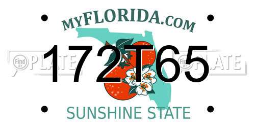 172T65 Florida License Plate