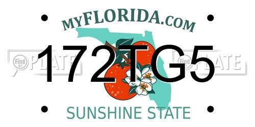 172TG5 Florida License Plate