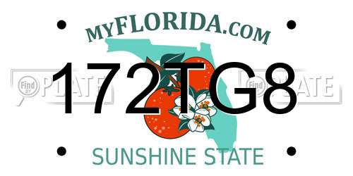 172TG8 Florida License Plate