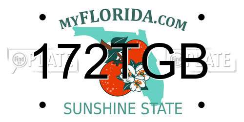 172TGB Florida License Plate