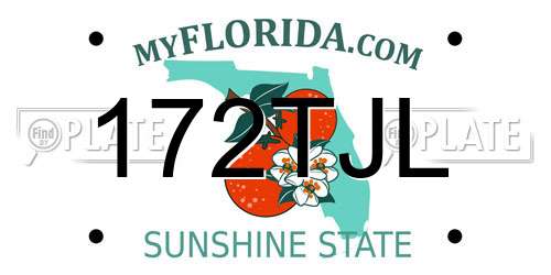 172TJL Florida License Plate