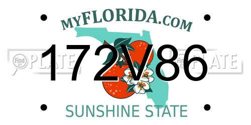172V86 Florida License Plate