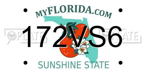 172VS6 Florida License Plate