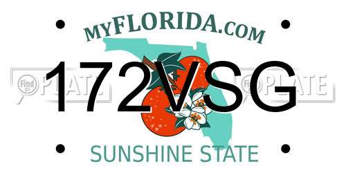 172VSG Florida License Plate