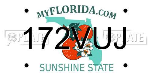172VUJ Florida License Plate