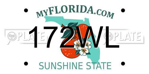 172WL Florida License Plate