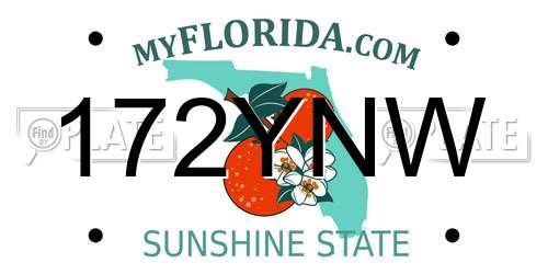 172YNW Florida License Plate