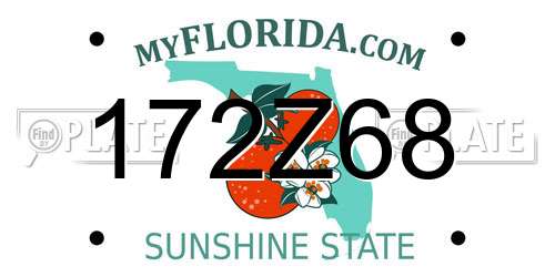 172Z68 Florida License Plate