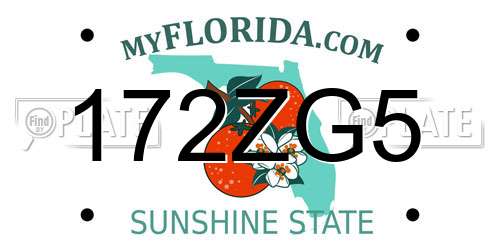 172ZG5 Florida License Plate