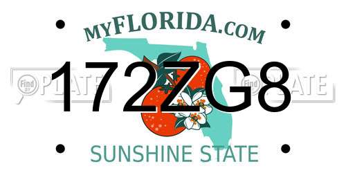 172ZG8 Florida License Plate