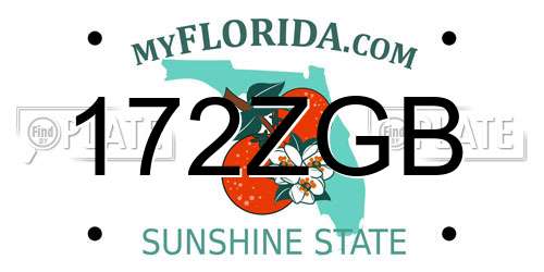 172ZGB Florida License Plate