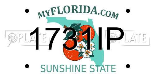 1731IP Florida License Plate