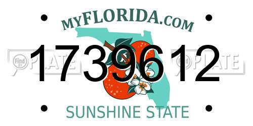 1739612 Florida License Plate