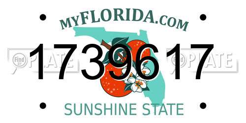 1739617 Florida License Plate