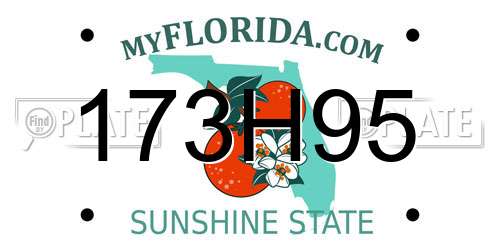 173H95 Florida License Plate