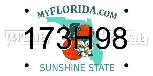 173H98 Florida License Plate