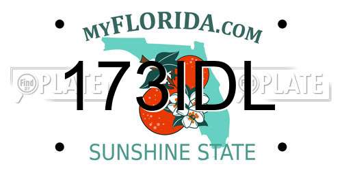 173IDL Florida License Plate