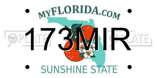 173MIR Florida License Plate