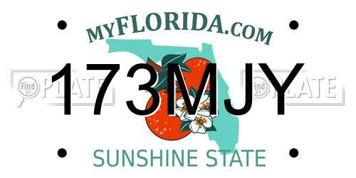 173MJY Florida License Plate