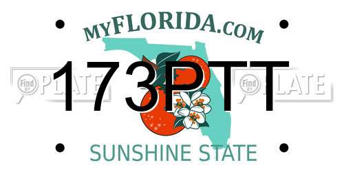 173PTT Florida License Plate