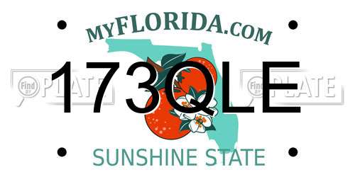 173QLE Florida License Plate