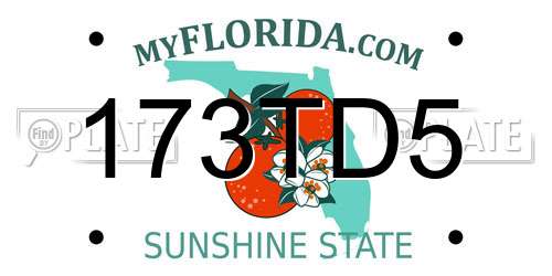 173TD5 Florida License Plate