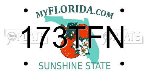 173TFN Florida License Plate