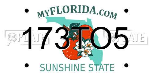 173TO5 Florida License Plate